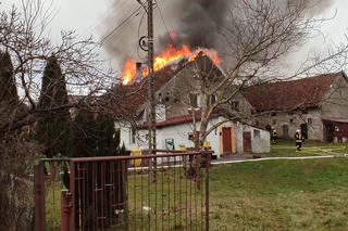 Zatrważająca ilość pożarów na Warmii i Mazurach. Co jest najczęstszą przyczyną? 