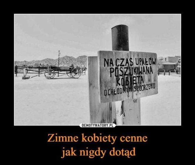 Do Polski dotarła fala gorąca. Te memy na temat upalnych dni rozbawią wszystkich do łez!