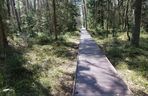 Biebrzański Park Narodowy