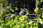 Kierowca seata nie żyje. Auto roztrzaskało się na drzewie. Tragiczny wypadek na DK 65