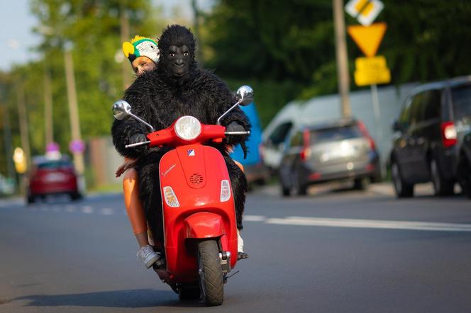 Nadchodzi Jungle Night w FACTORY Kraków. Rabaty sięgną nawet 50 procent!