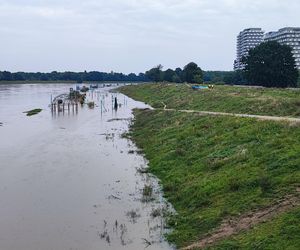 Fala powodziowa we Wrocławiu. Pod wodą są już beach bary i drogi 