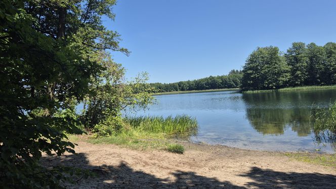 To jedno z największych jezior w Olsztynie. Kusi turystów piaszczystymi plażami