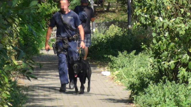 Strzał na bazarze w Warszawie. Jedna osoba trafiła do szpitala. „Poszukujemy sprawcy”