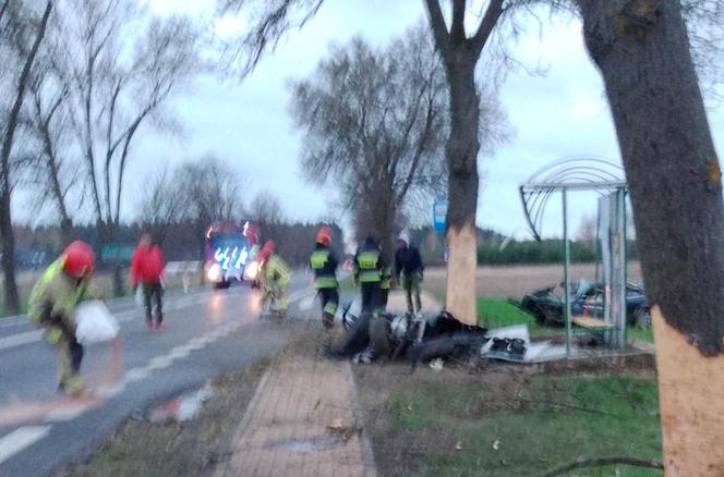 Bmw uderzyło w drzewo, przystanek i znowu w drzewo. Dwie osoby zginęły pod Kozienicami! 