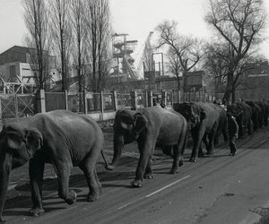 Fotografie Śp. Stanisława Jakubowskiego