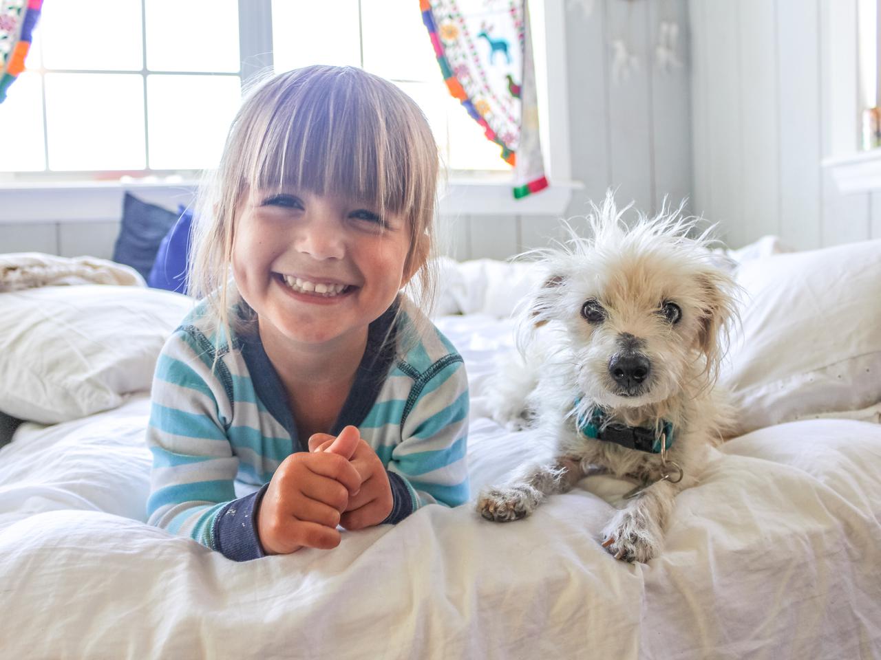 Rzecz o kozie, łóżku i psie nie z tej bajki - z cyklu Stary pisze listy do syna