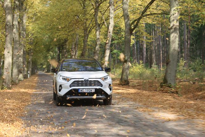 Wertepów i dziur się nie boi. Toyota RAV4 2.5 Hybrid Dynamic Force 222 KM AWD-i e-CVT - TEST, OPINIA, WIDEO