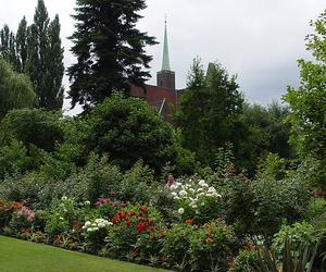 7 najładniejszych ogrodów botanicznych w Polsce. Kiedy je odwiedzić i gdzie są?