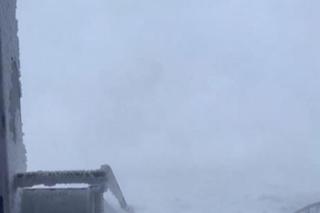 Zima na całego w Kalifornii! W ciągu doby spadło 90 cm śniegu [ZDJĘCIA]