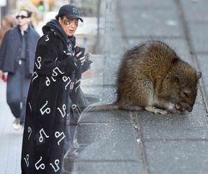 Paticia Kazadi w drodze do butiku na przymiarki spotkala szczura na swojej drodze