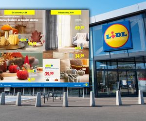 Lidl: Pościel i kołdry już od 24,99 zł!