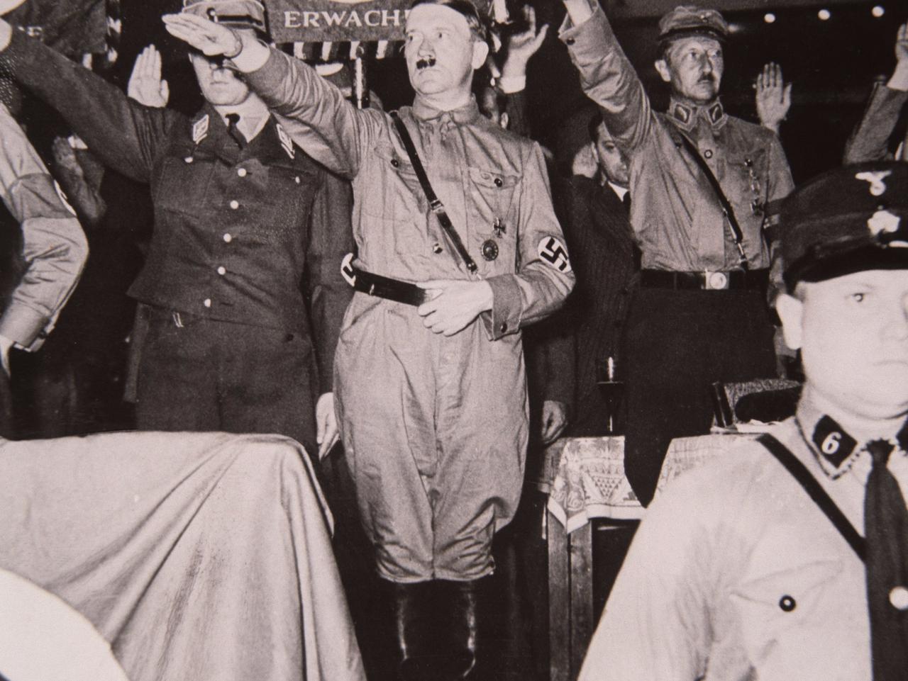 Hitler miał mikropenisa