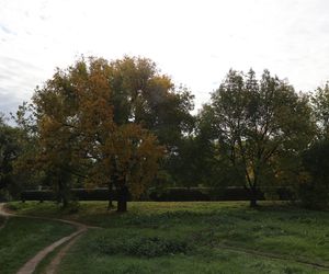 Jesienna odsłona terenów nad Bystrzycą w Lublinie. Tak się prezentuje w październiku