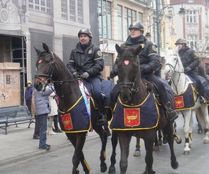 Wielka Szarża w centrum Łodzi. Oddziały konne przeszły przez Piotrkowską