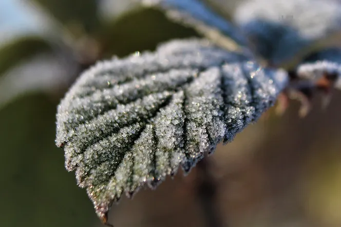 Warmińsko-mazurskie. Fatalna prognoza. Nawet -9 stopni! IMGW ostrzega