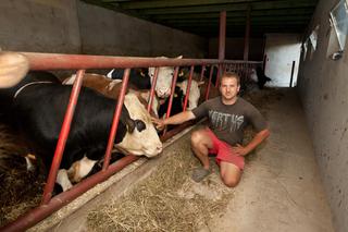 Nauczę prezesa jak obchodzić się z bykami