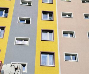 Kot zaklinował się w uchylonym oknie