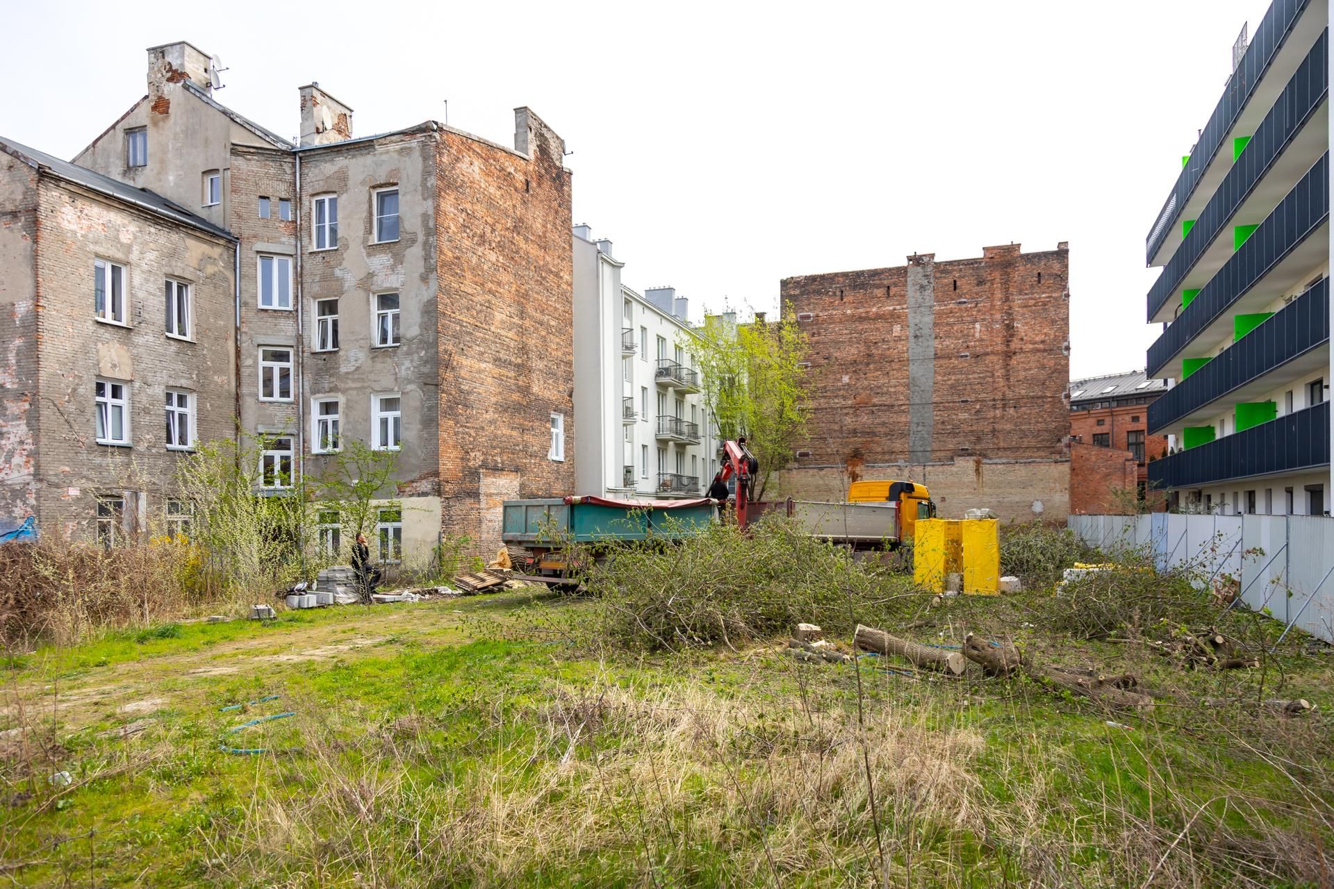 Nielegalna wycinka drzew przy ul. Radzymińskiej 14 w Warszawie