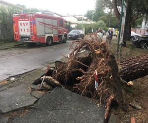 Włochy. Śmiertelna ofiara burz na północy, kilku rannych