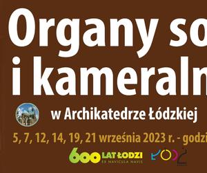 Organy solo