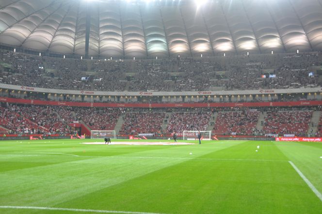 Tego na meczu kadry dawno nie było! PZPN wydał zgodę, będzie gorąco