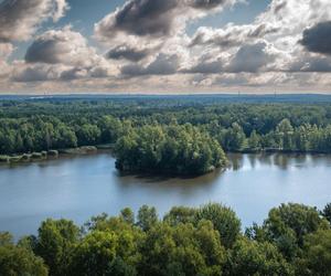 Balaton to zbiornik wodny w dzielnicy Sosnowca -  Porąbce.  Ma około 10 ha powierzchni