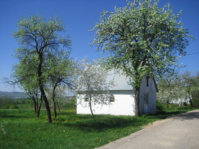 Klonów - urokliwa wieś w sercu Puszczy Świętokrzyskiej