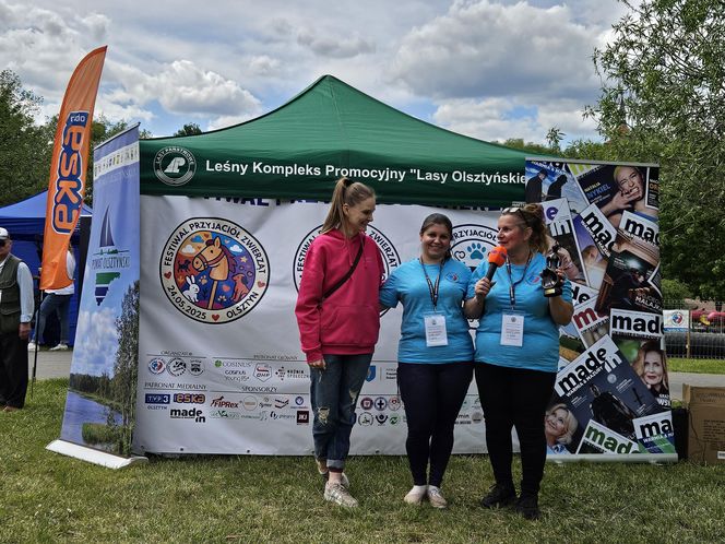 Festiwal Przyjaciół Zwierząt w Olsztynie. Park Centralny opanowały radosne pieski