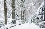 My się śniegu nie boimy!. Zima zawitała do krakowskiego ZOO