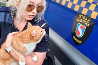 Garfield szybko zdobył należne mu miejsce w komendzie Straży Miejskiej w Świdniku