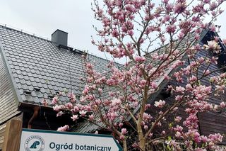 Nadleśnictwo Marcule blisko świętokrzyskiego