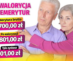 waloryzacja emerytur 3,73 proc