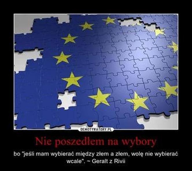 Wybory do Parlamentu Europejskiego 2024. Te memy zostaną ci w pamięci na długo! 