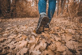 Nie potrzebujesz suplementów ani aplikacji do relaksu. „Trik z lasem” naprawdę obniża stres i poprawia sen