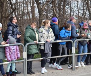 21. bieg RECORDOWA DZIESIĄTKA w Poznaniu