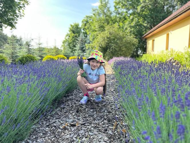 Siostry z Bydgoszczy same zarabiają na wakacje. Sprzedają kwiaty, jakie trudno dostać gdzie indziej