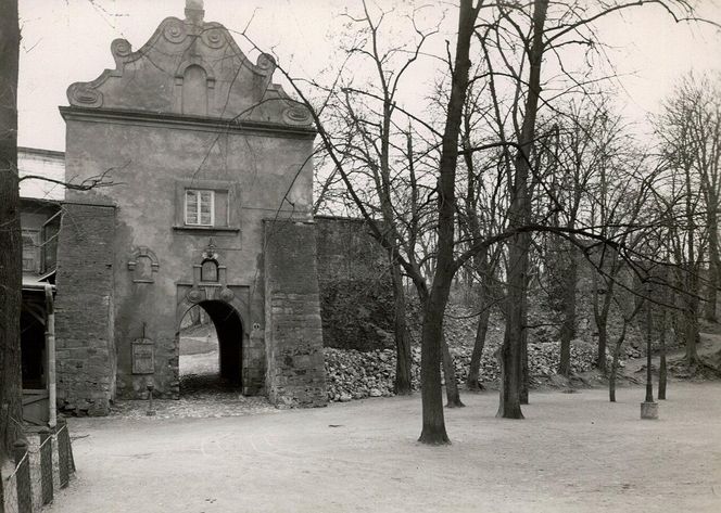 Zamek Kazimierzowski w Przemyślu 