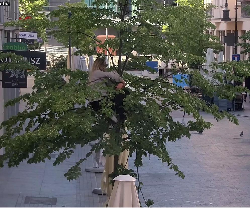 Poznań. Weszła na drzewo i siedziała na gałęzi! Dziwne zachowanie kobiety zaskoczyło policjantów
