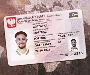 Memy po meczu Polska-Holandia
