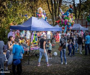 Baranovski i Kubańczyk w Parku Jordanowskim, czyli Święto Świętochłowic 2024