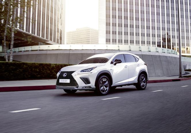 Lexus NX lifting 2018