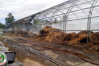 Pożar na terenie ośrodka jeździeckiego Lando
