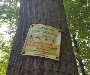 Park Linowy Tarzan w Lesznie na kilka dni przed otwarciem
