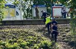 Rowerzysta potrącony przez pociąg Intercity. Zginął na miejscu. Dramat na stacji Warszawa ZOO
