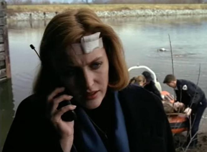 Gillian Anderson