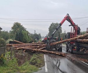 Wypadek w Mircu! Przewróciła się ciężarowka z drewnem, uszkodziła gazociąg