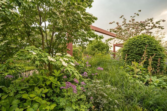 OGRODOWE INSPIRACJE. Ogrody kontrastów Toma Stuarta Smith’a 