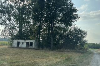 Dramat w Spiczynie. Porwani 44-latka i znęcali się nad nim w potworny sposób