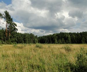 To największy kompleks leśny na Mazurach. Co krok pojawiają się malownicze jeziora